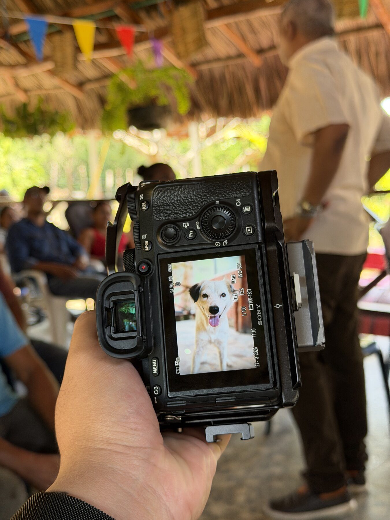 Revisando una fotografía en la pantalla de la cámara durante una cobertura en Cartagena